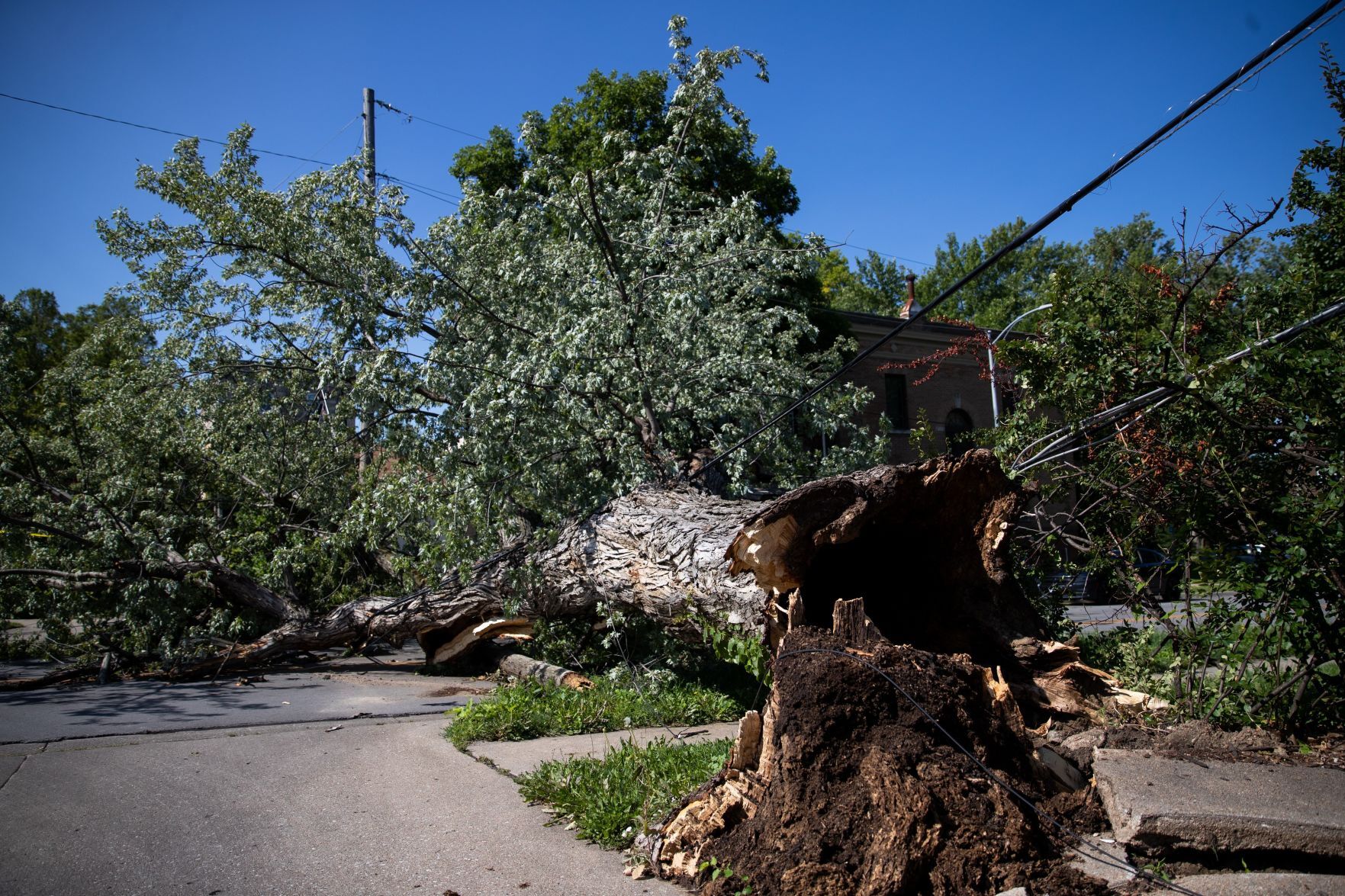 071321-owh-new-stormdamage-ar04